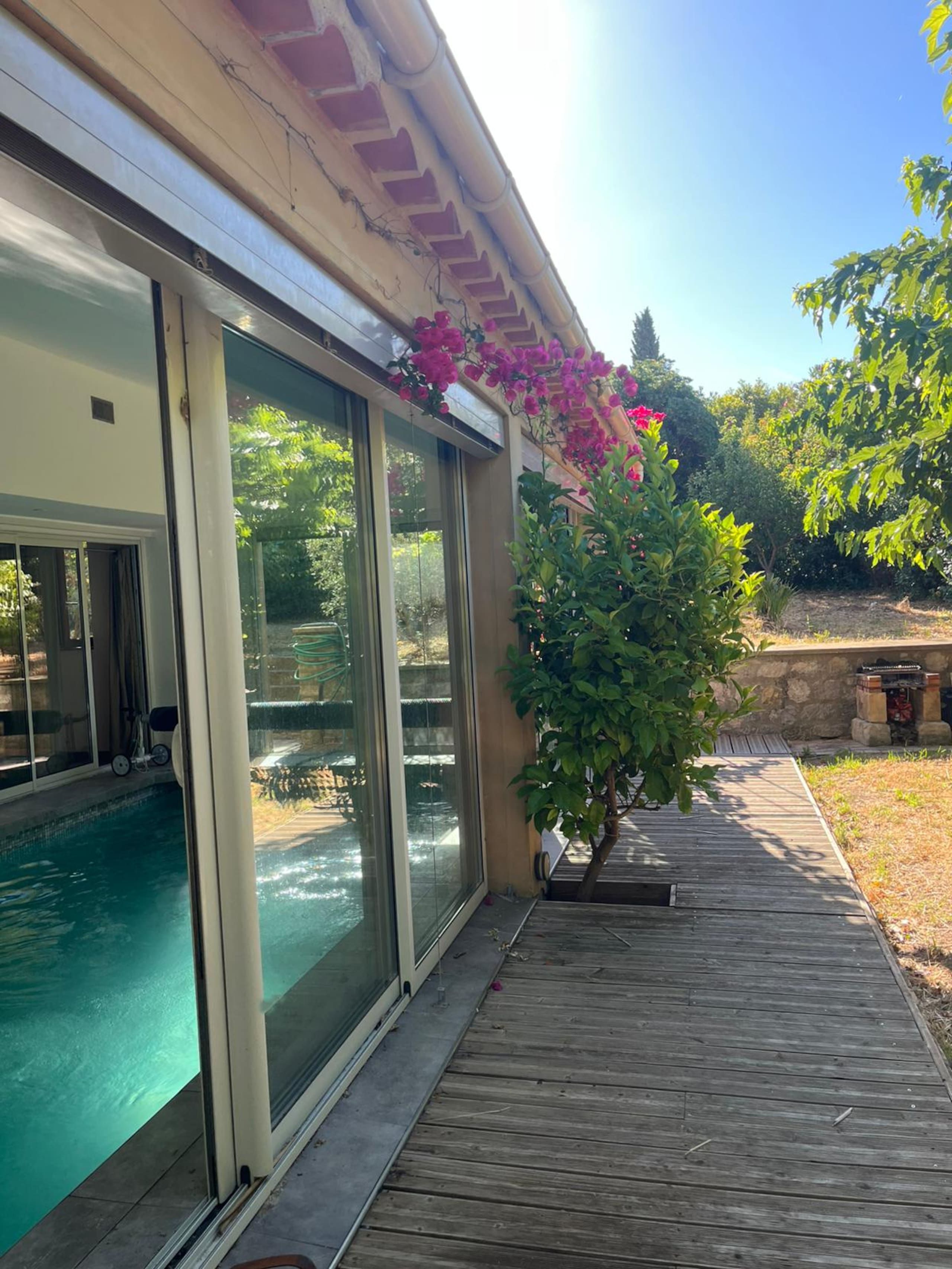 Ein Schwimmbad neben einem Gebäude mit großen Glasfenstern, einer Holzterrasse und einem Garten mit Baum und Blumen.