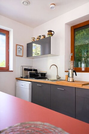 Cuina moderna amb rentaplats, cafetera i finestra amb vista a vegetació.