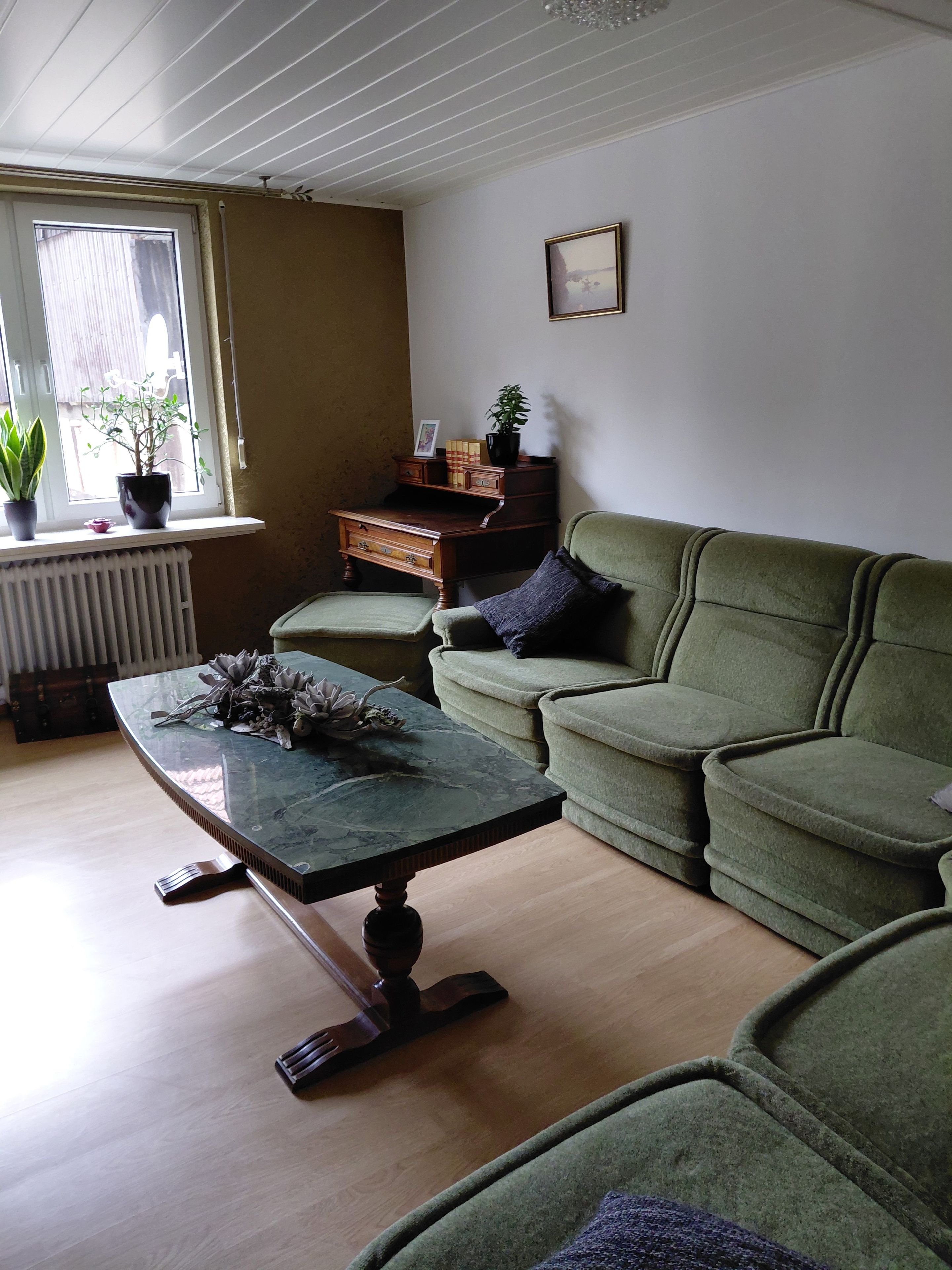 A living room with a green sofa, a wooden coffee table with decorative items, a potted plant, and a radiator.