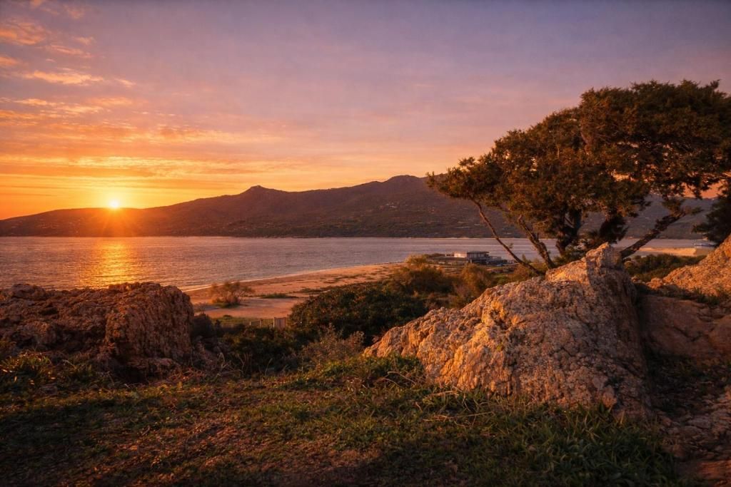 Paisaje costero con un atardecer, terreno rocoso y un árbol.