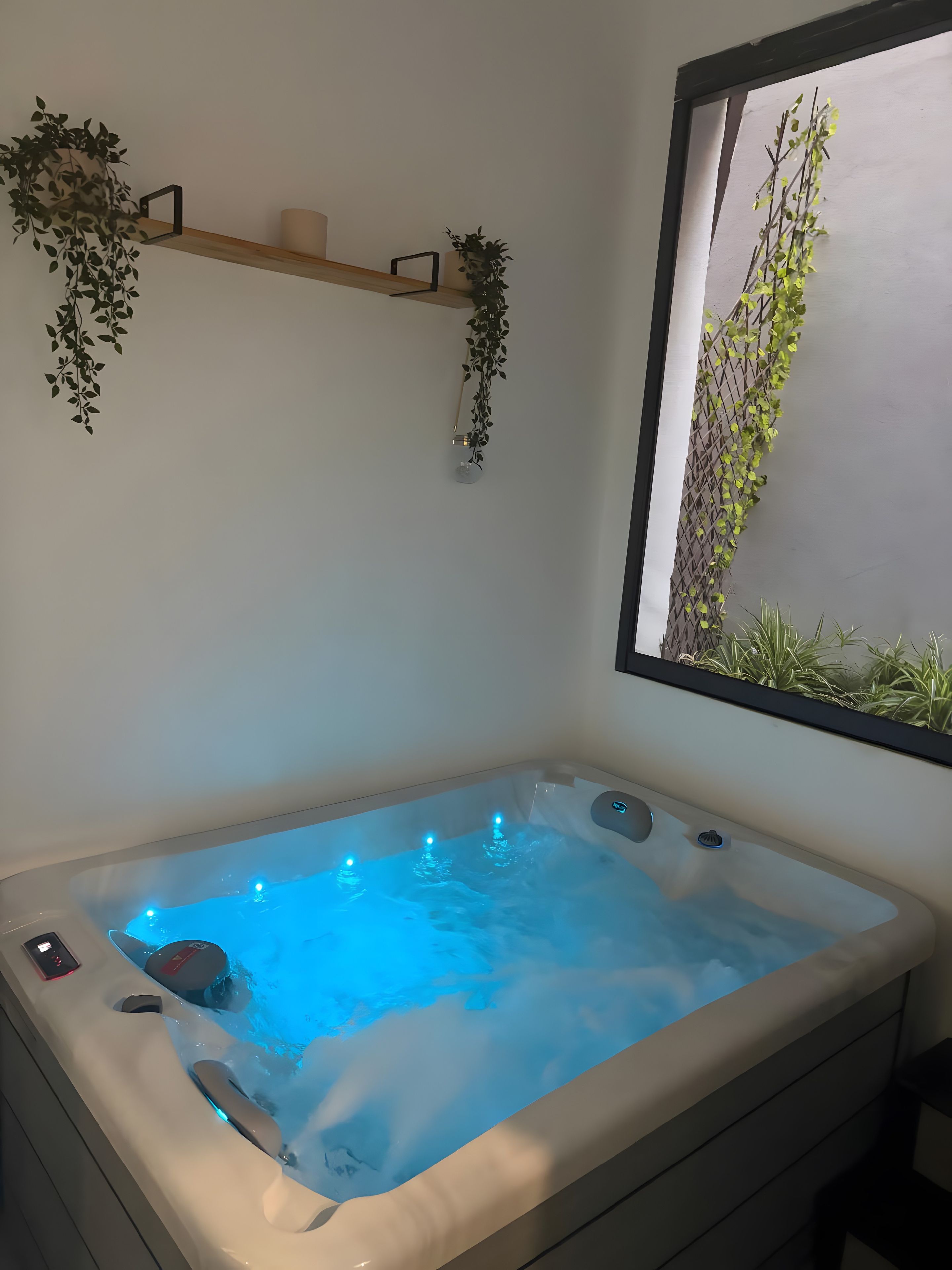 Een wellnessruimte met een jacuzzi, plantenbakken en een raam met beplanting.