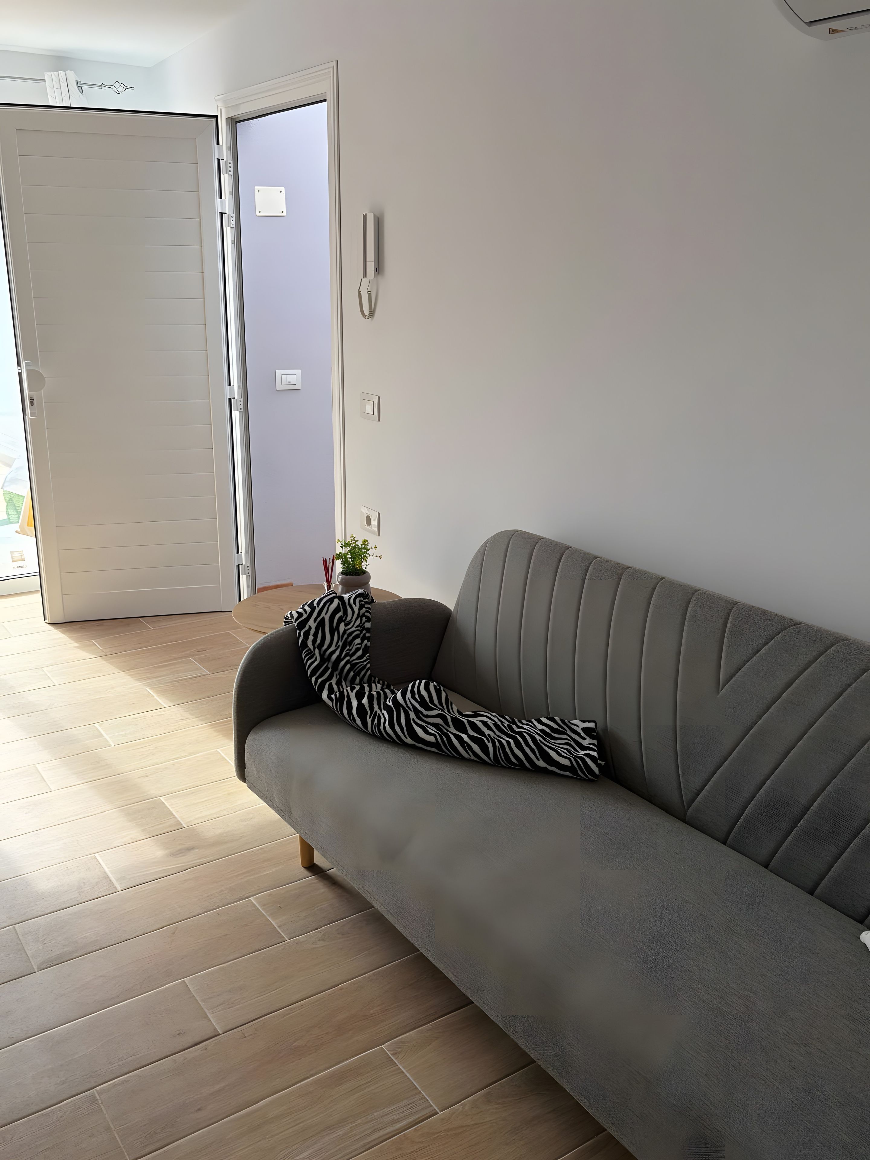 Una sala de estar moderna con un sofá gris, un cojín estampado con diseño de cebra y una planta en maceta.