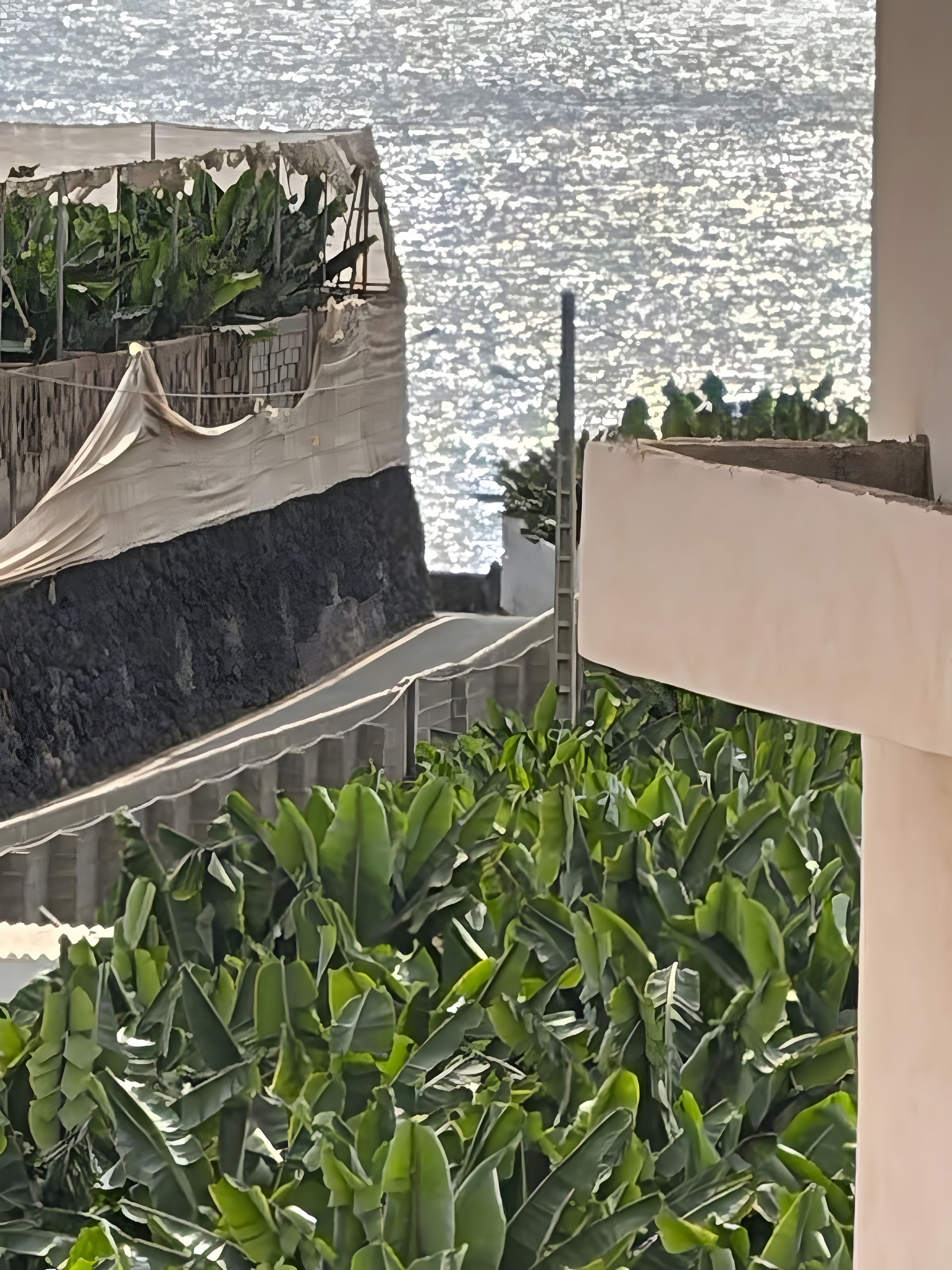 A balcony with a view of the sea, a potted plant, and a white wall.