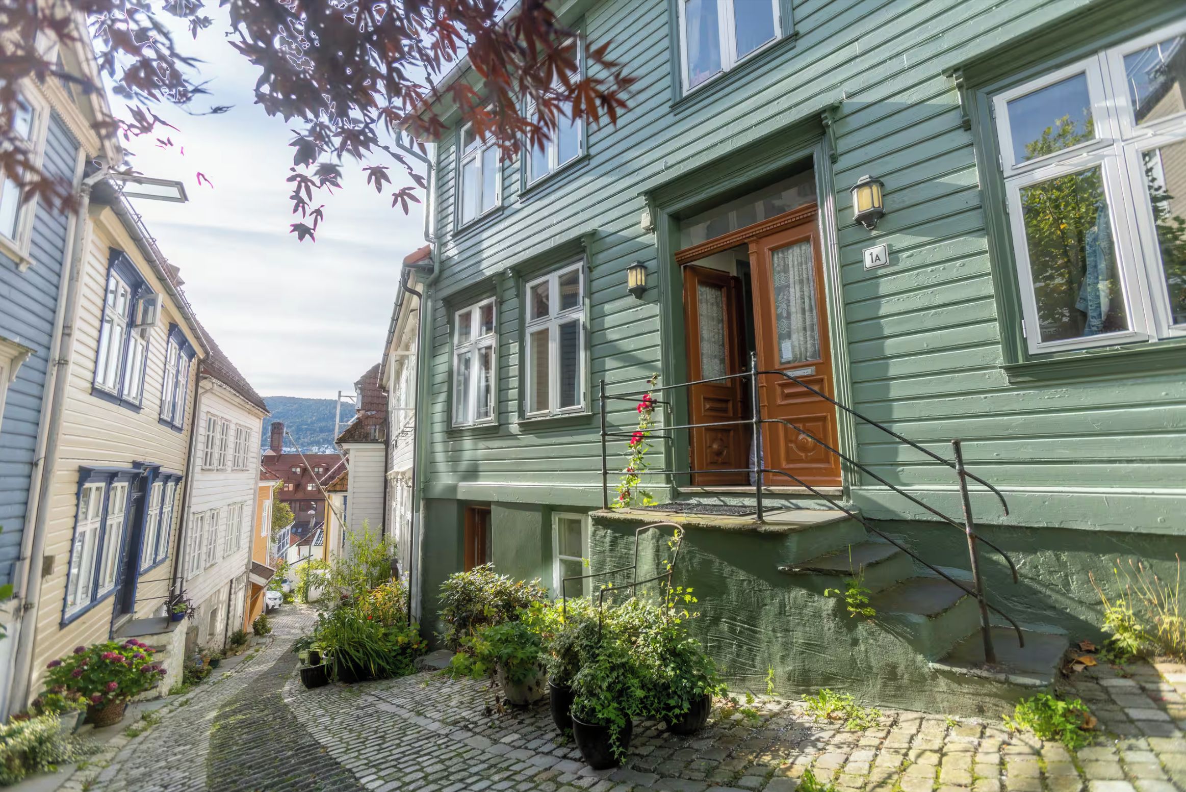 Een smalle straat met kinderafslagen met traditionele Europese gebouwen, een houten deur en een klein tuintje met bloempotten.