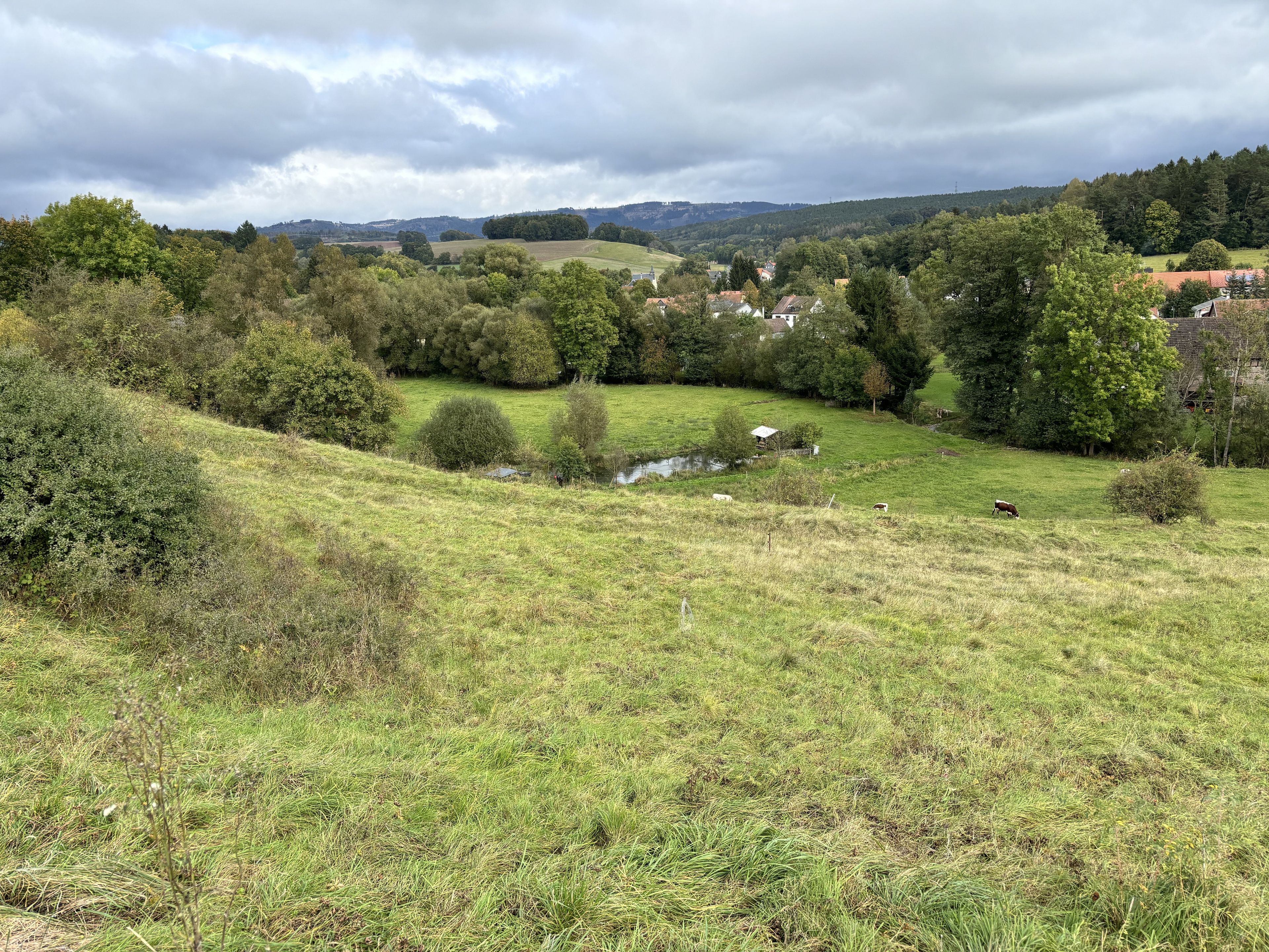 A rural landscape with a small pond, trees, and a few houses in the distance.