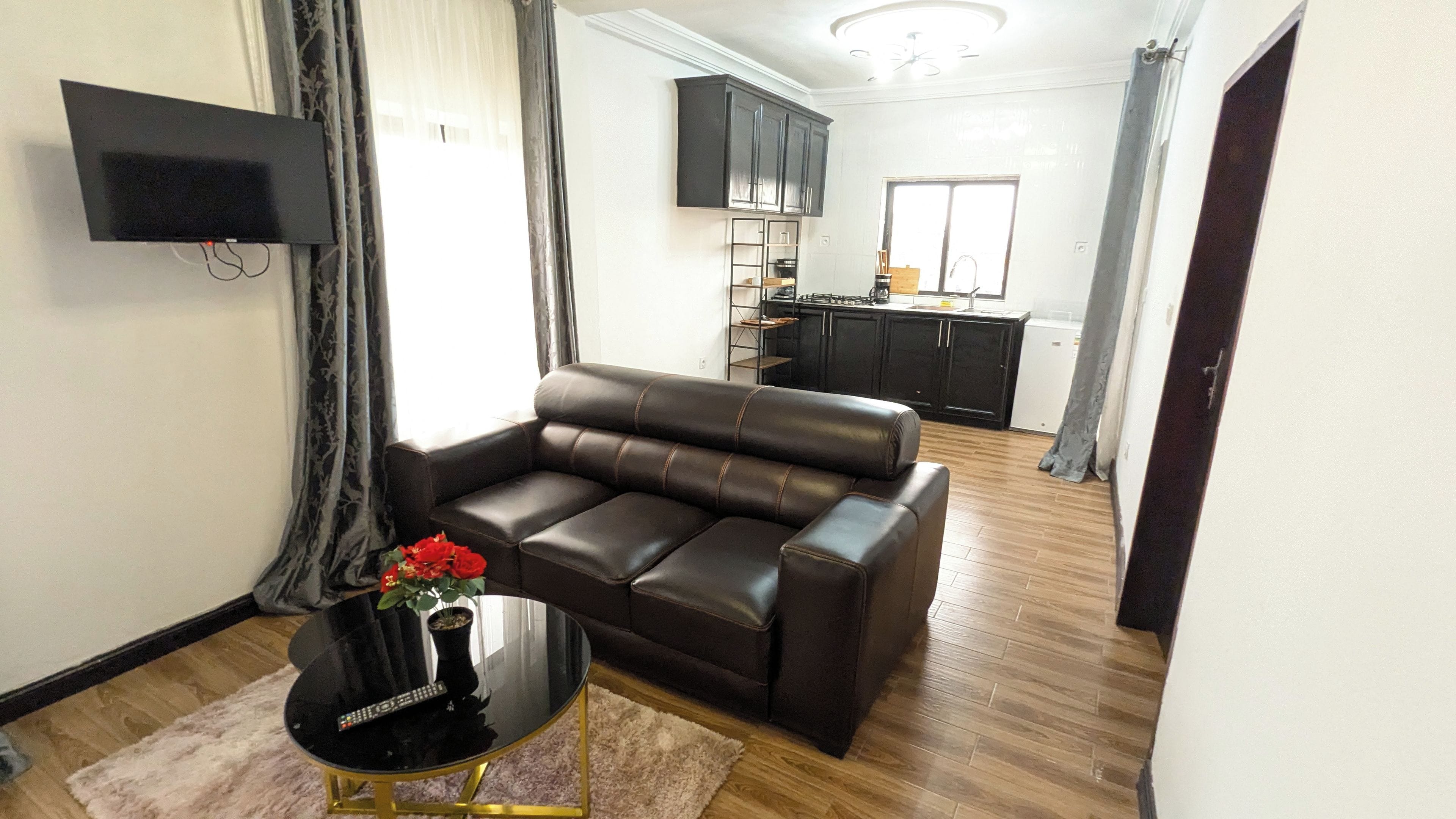 A living room with a leather sofa, a black coffee table with a remote control, and a potted plant.