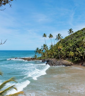 A beach with clear blue water, palm trees, and rocky terrain. - Comfortable and peaceful, that's what we call our cozy retreat. (Itacaré)