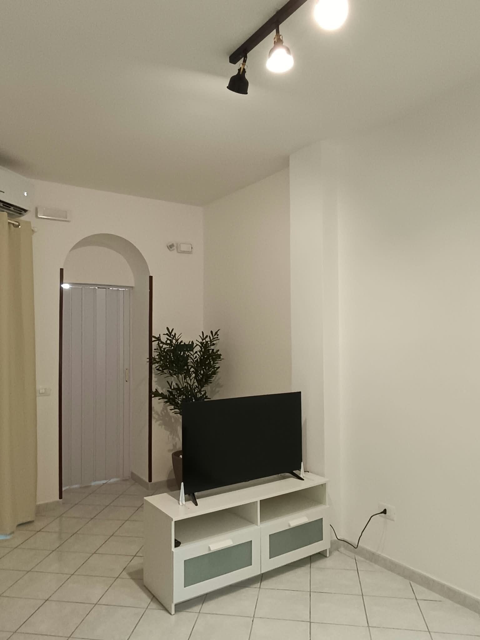 Un soggiorno con una TV a schermo piatto su un mobile bianco, una pianta in vaso e una porta sullo sfondo.