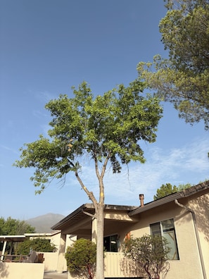 A residential building with a tree in front, a clear sky, and a mountain in the background. - Perfect 3-bedroom house with AC in  Cottonwood Ranch
Clubhouse with Pool/Hot Tub (Cottonwood)