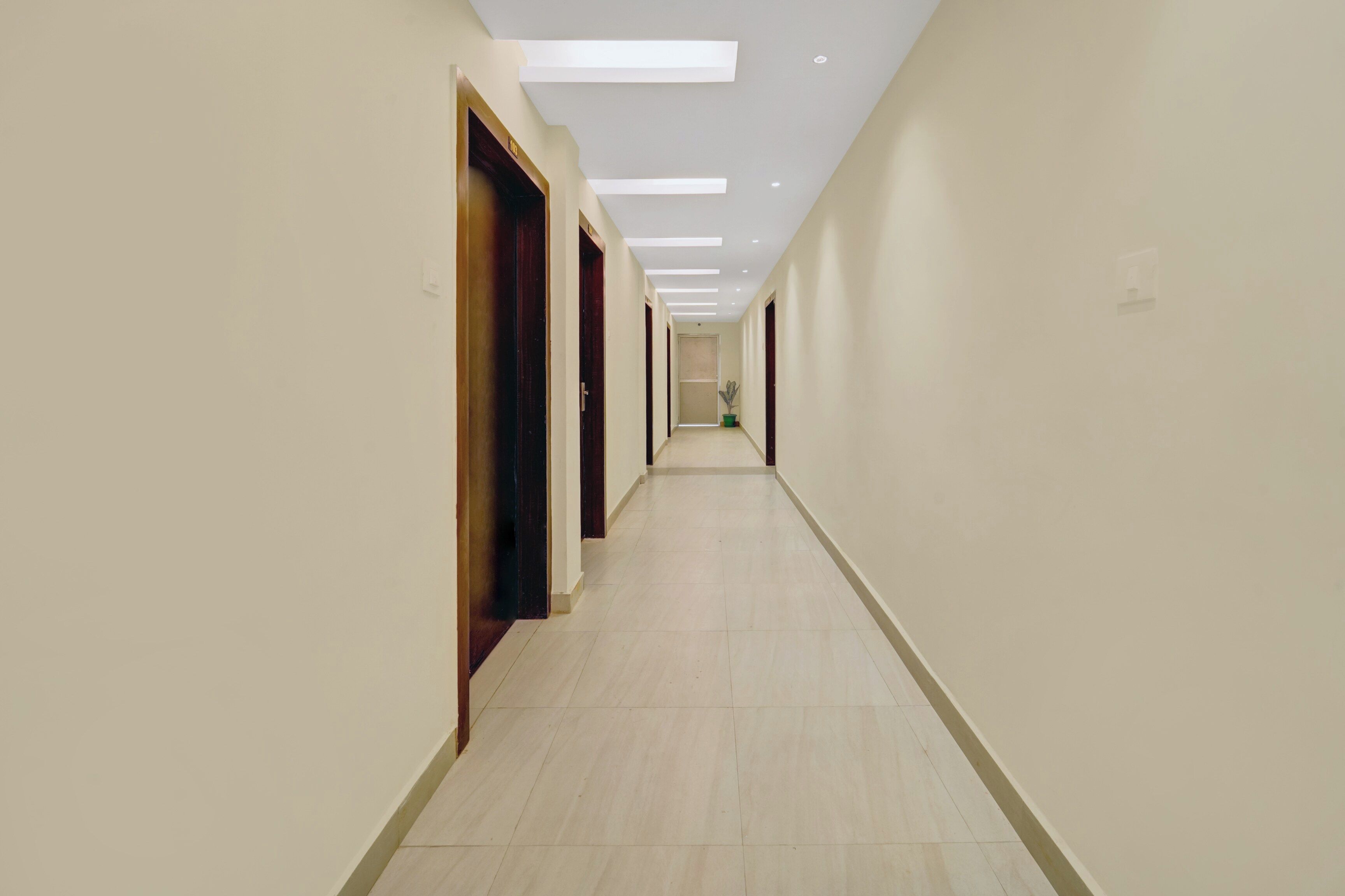 A long, narrow hallway with doors on one side and a potted plant at the end.