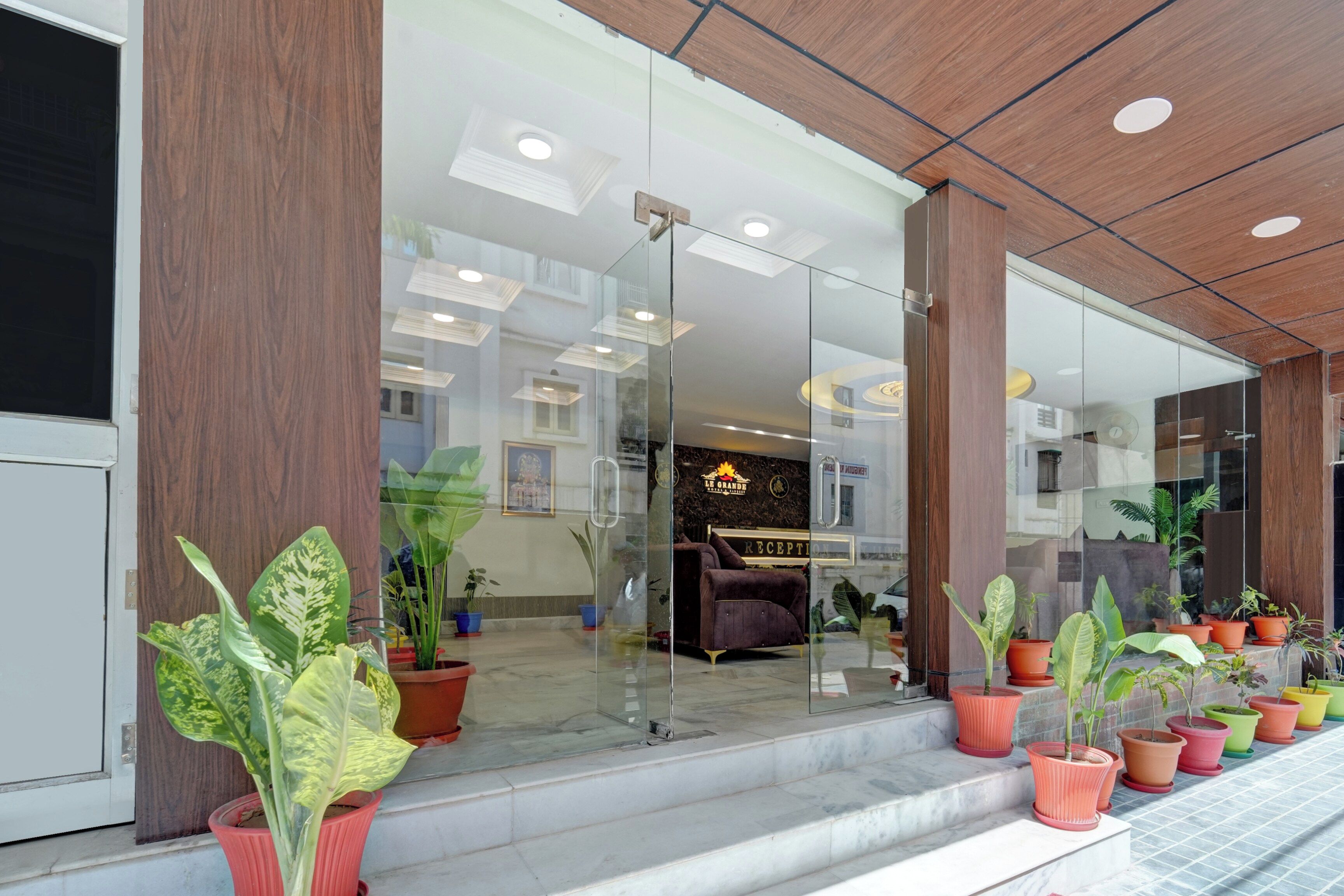 Zona de recepción de un hotel con entrada de vidrio, plantas en macetas y mostrador de recepción.