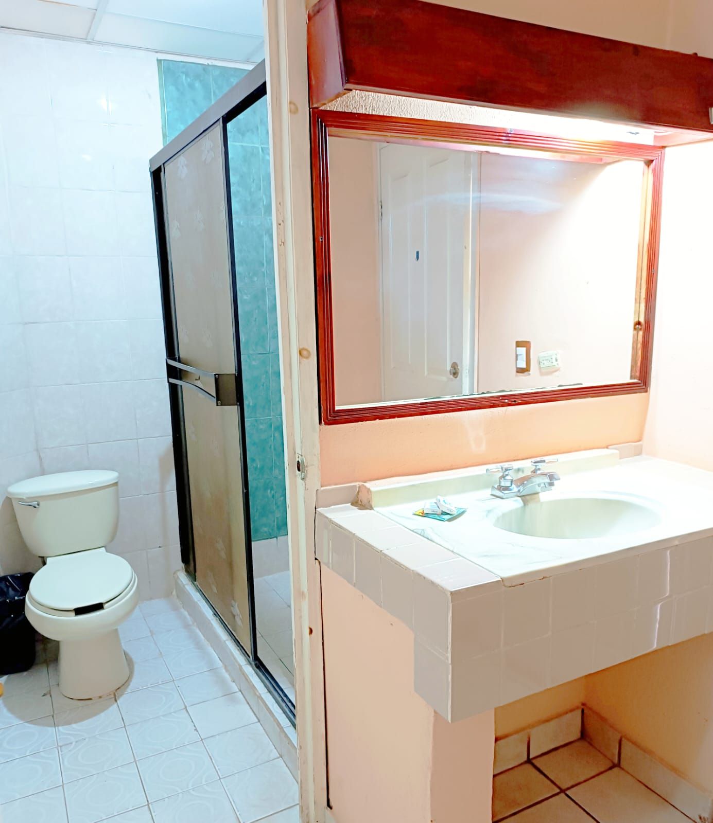 A bathroom with a toilet, a sink, and a glass shower enclosure.