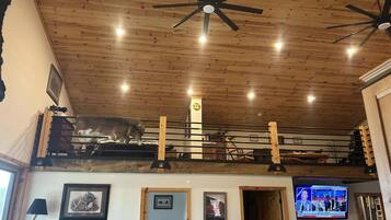 A loft bedroom with a wooden ceiling, a television, and a cat on the upper bunk.