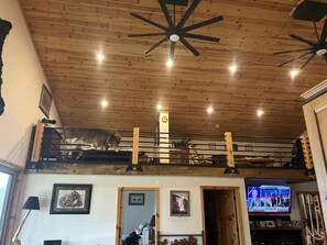 A loft bedroom with a wooden ceiling, a television, and a cat on the upper bunk.