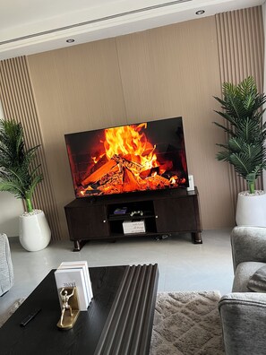 Un saló modern amb televisió de pantalla plana, una llar de foc i dues plantes en testos.