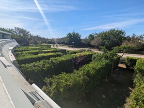 A landscaped garden with neatly trimmed hedges and a paved walkway. - Seafront apartment, air conditioning - 7 guests (La Grande-Motte)