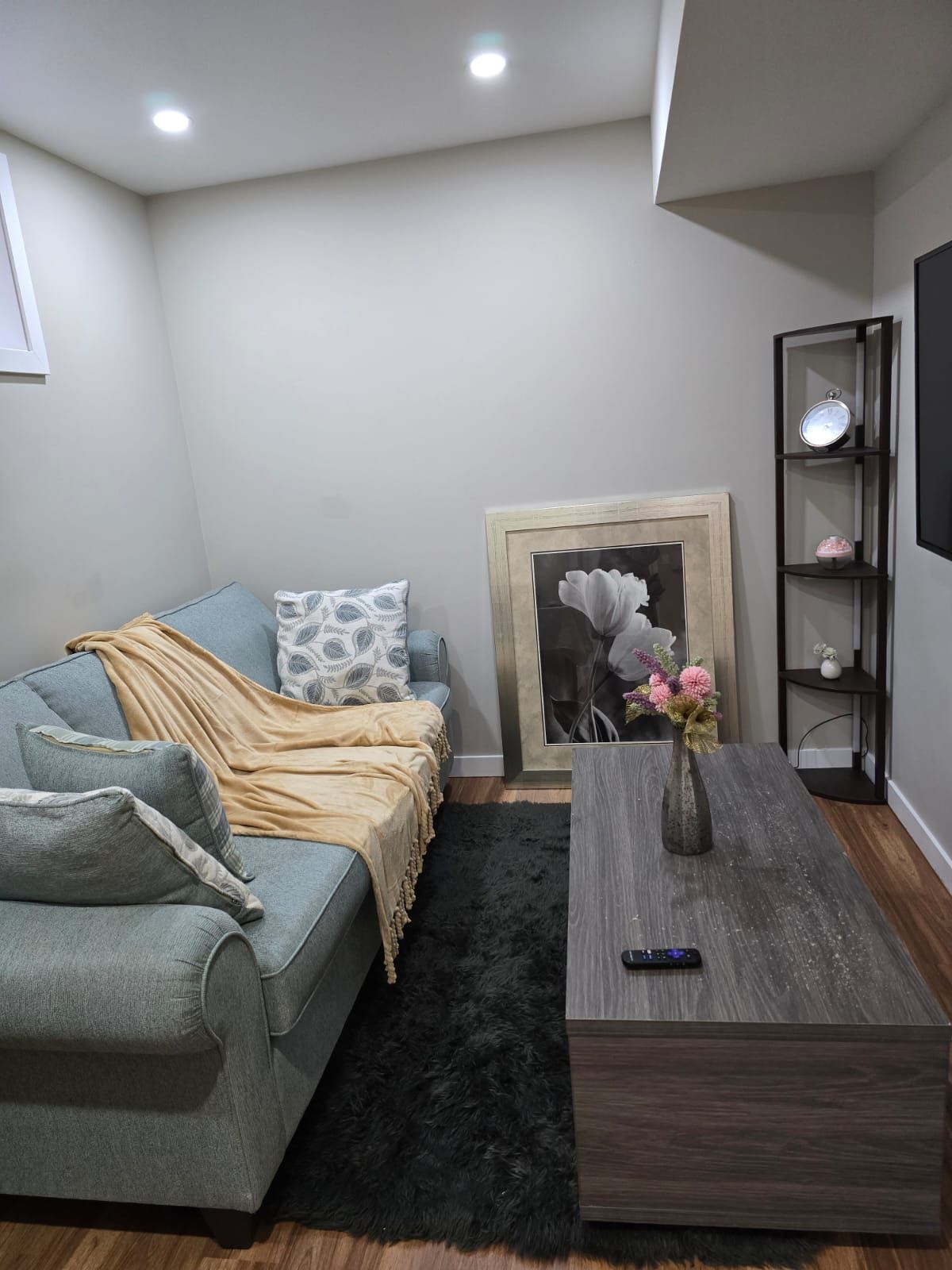 A modern living room with a grey sofa, a black furry rug, a wooden coffee table, and a framed artwork on the wall.