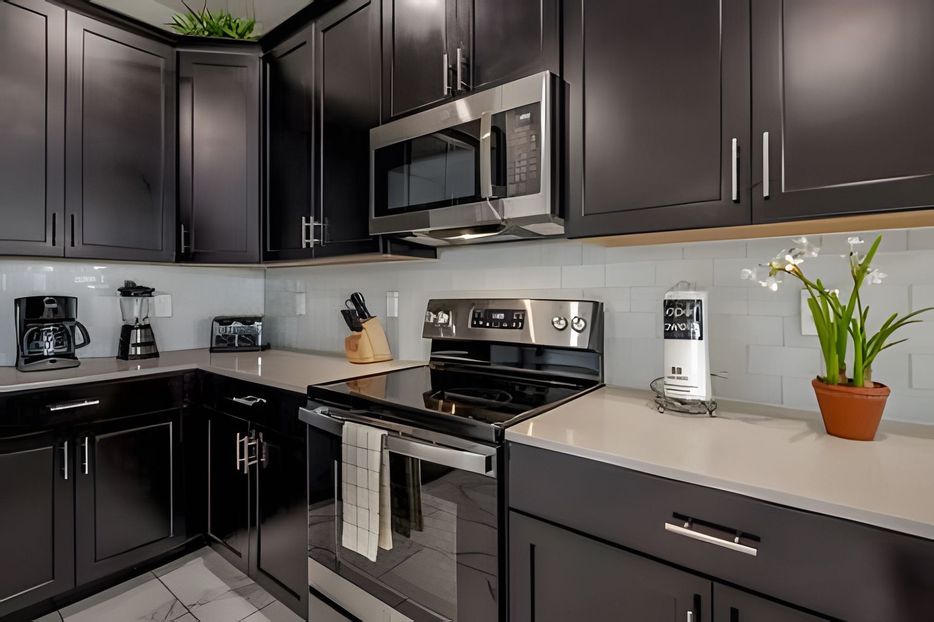 A modern kitchen with dark cabinetry, stainless steel appliances, and a potted orchid.