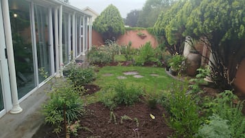 Un jardín con diversas plantas y una estructura de vidrio con puertas.