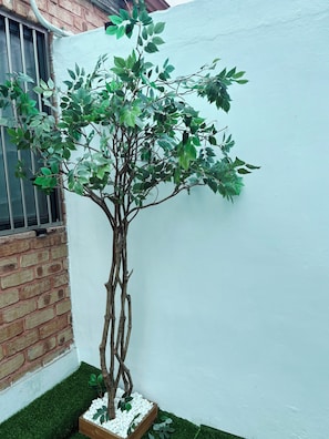 A potted tree with a thick trunk and dense foliage, placed on a patch of artificial grass against a white wall.