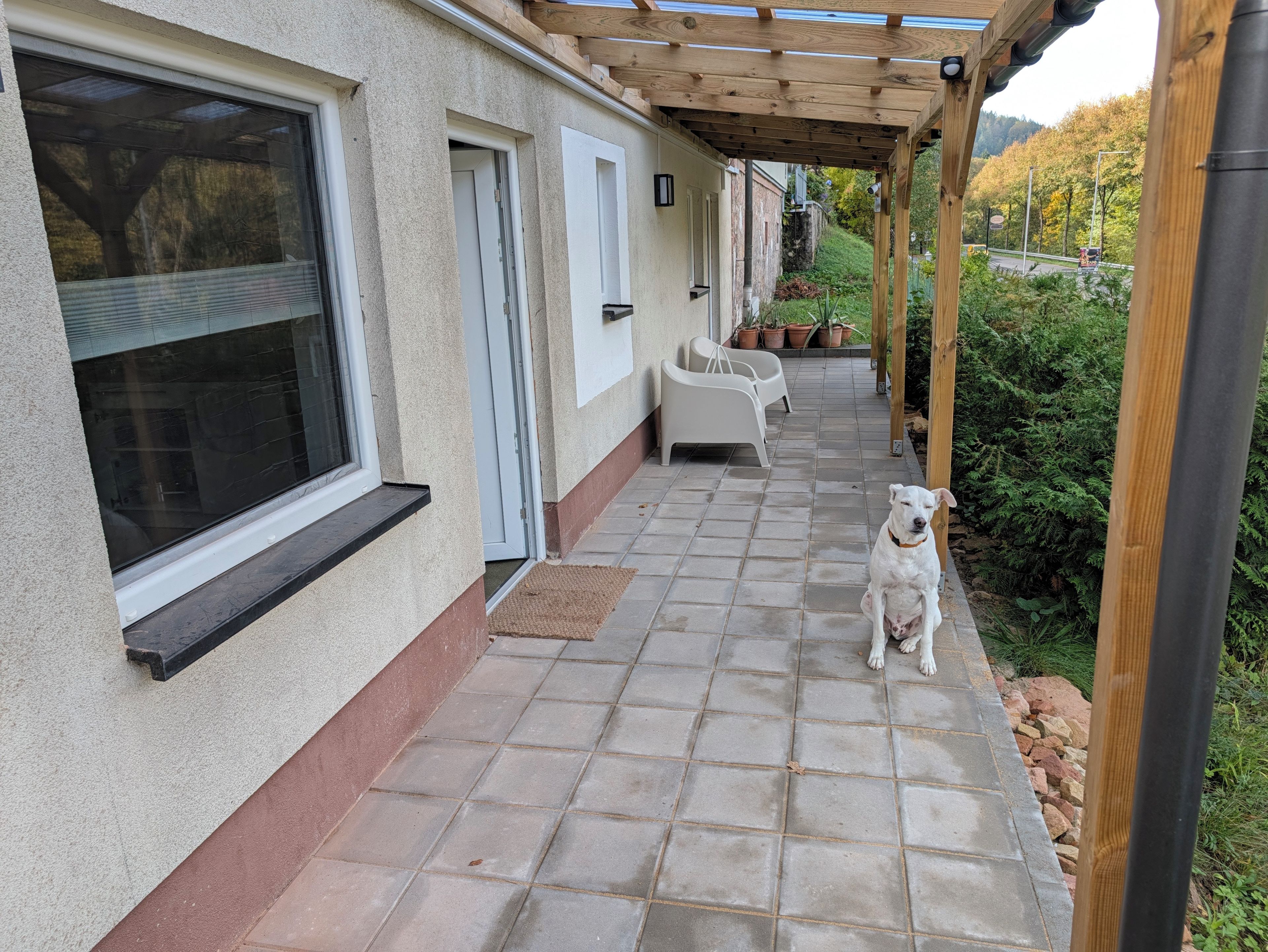 En overdækket terrasse med flisegulv, en hvid hund og udendørs møbler.