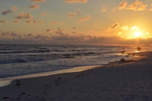 Beach - Crystal Cove 2223 (Miramar Beach)