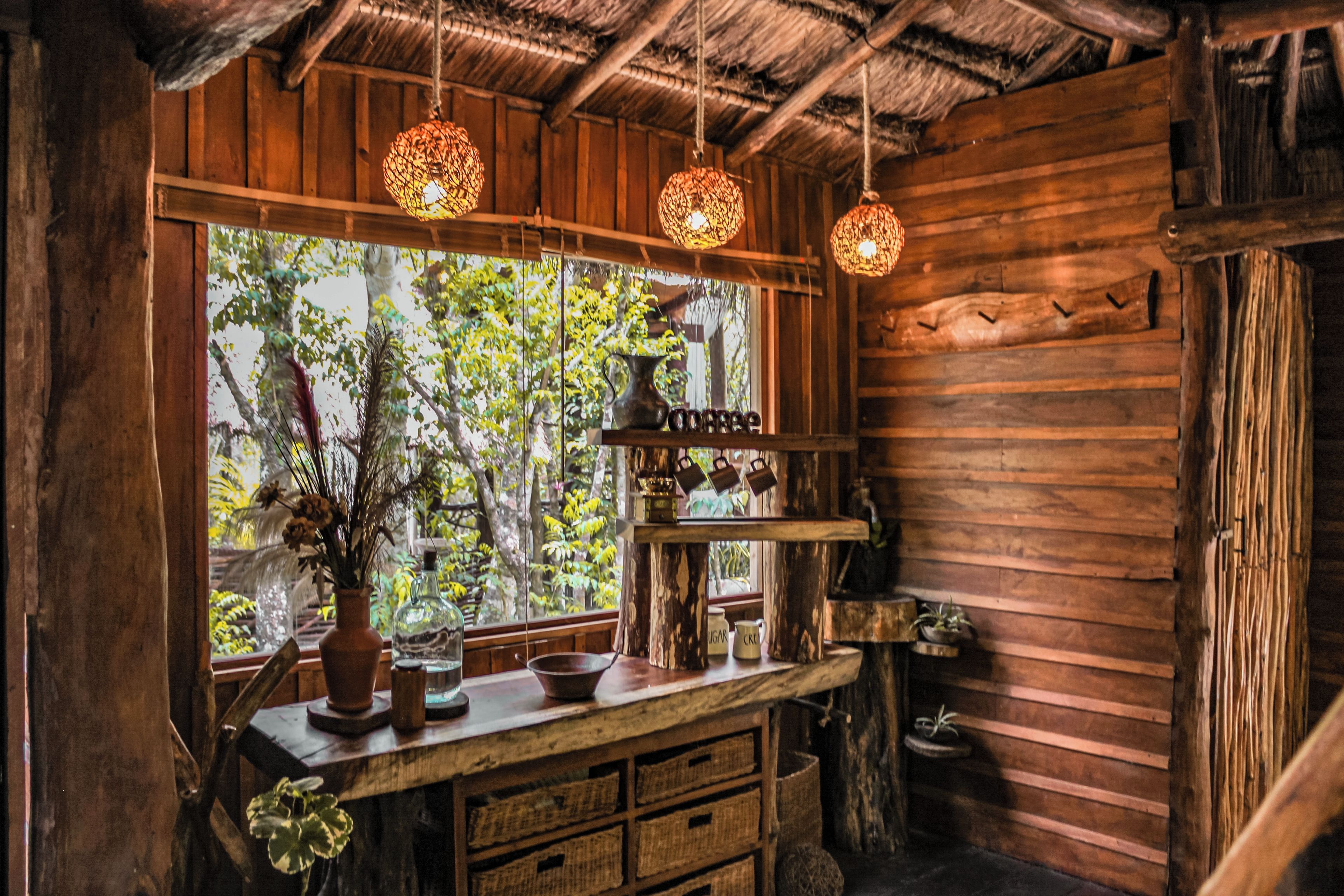 Un intérieur rustique en bois, avec un comptoir en bois, des luminaires suspendus et une fenêtre donnant sur les arbres.