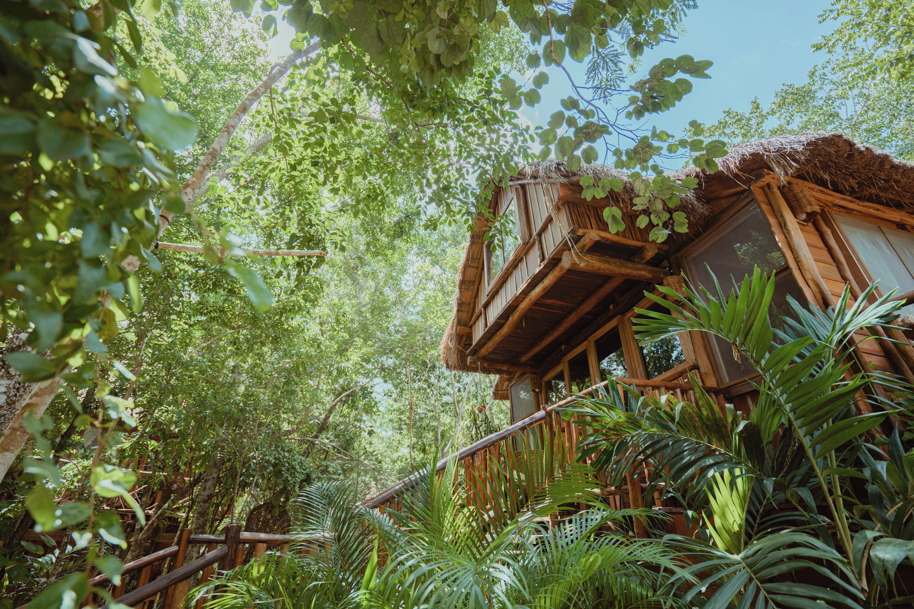 Une cabane en bois perchée dans un arbre, avec un toit de chaume, entourée d’un feuillage dense et de plantes.