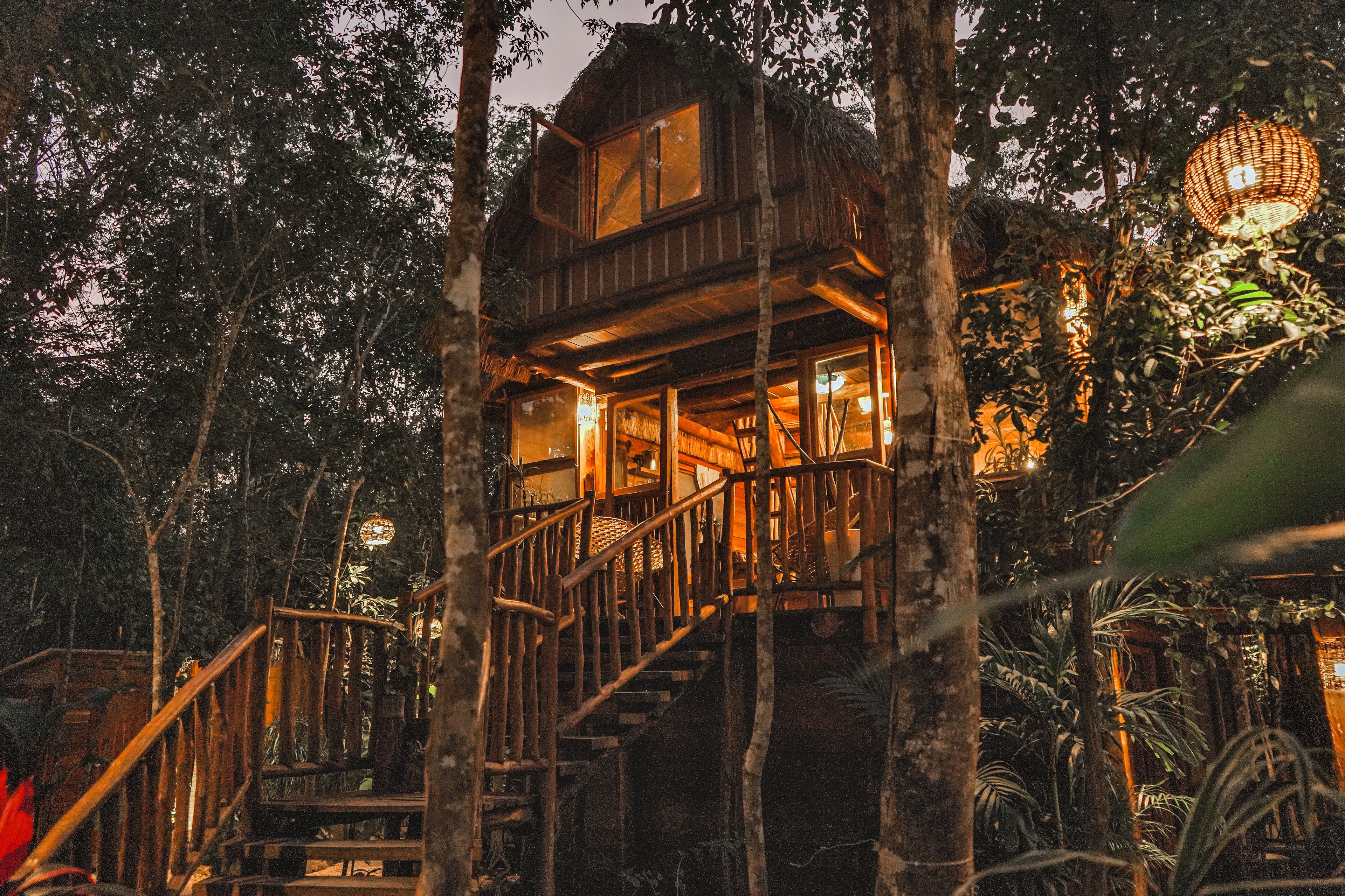 Una casa del árbol de madera con una escalera, rodeada de follaje denso.