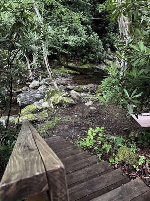 A wooden pathway leading through a forested area with rocks and greenery. - "Shanty Springs Retreat" -  Your Creekside Oasis (Banner Elk)