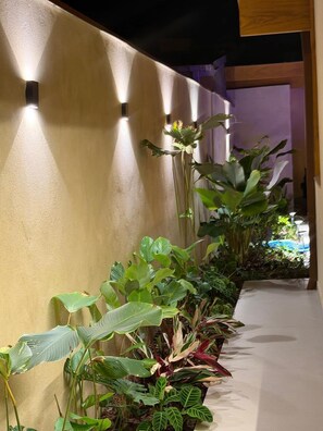 A corridor with a row of potted plants along one wall, a light fixture, and a partial view of a room with a purple wall. - Amore'mare | Charm, Comfort and Sea (Ubatuba)