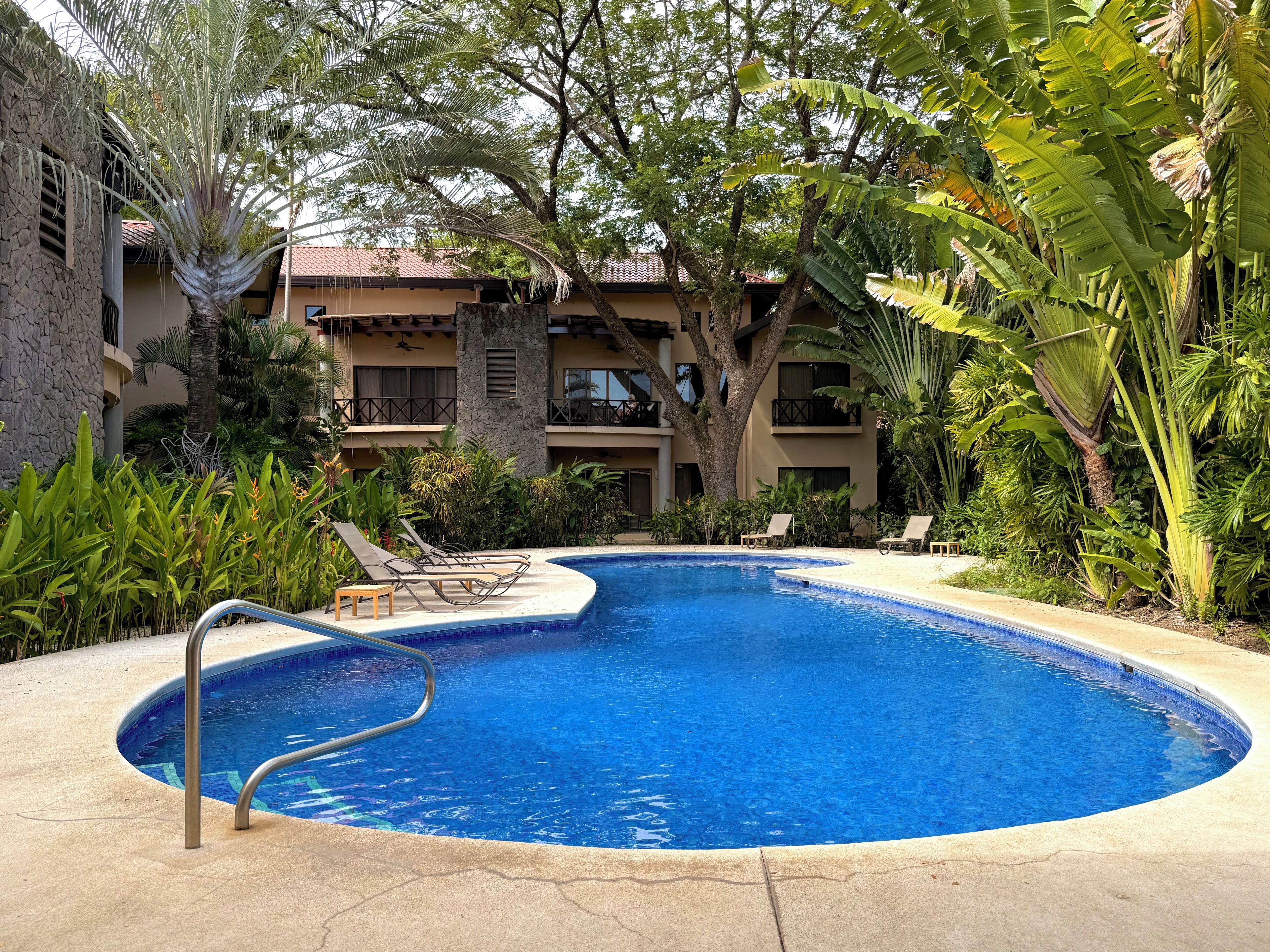 Una piscina con sillones de descanso, rodeada de plantas tropicales y un edificio de varios pisos con balcones.