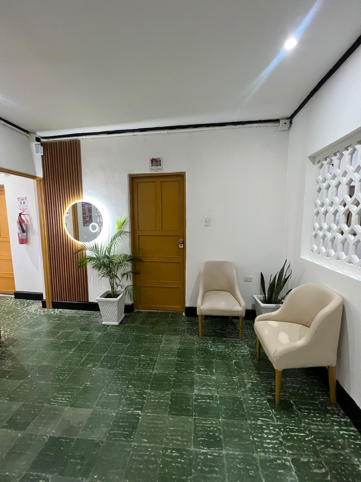 A reception area with a wooden door, a round mirror, two chairs, and a potted plant.