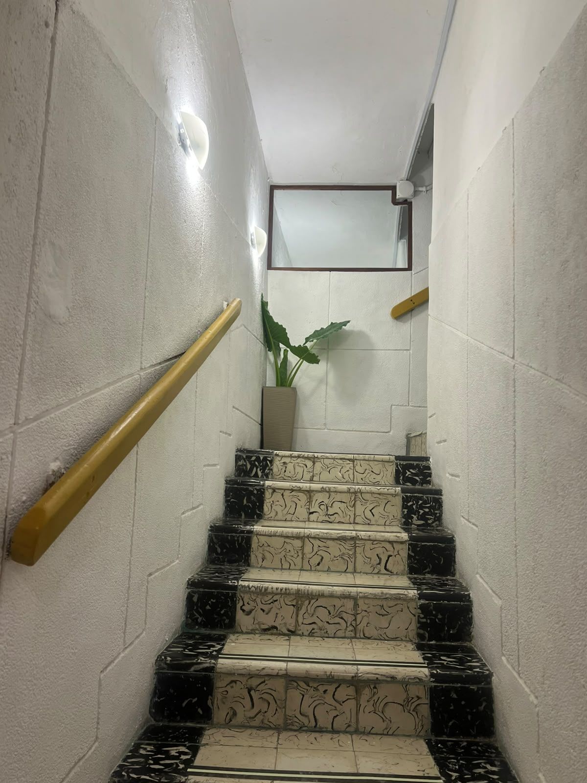 Una escalera con baldosas blancas y negras en un patrón alternado, una planta en maceta y una barandilla en el lado izquierdo.