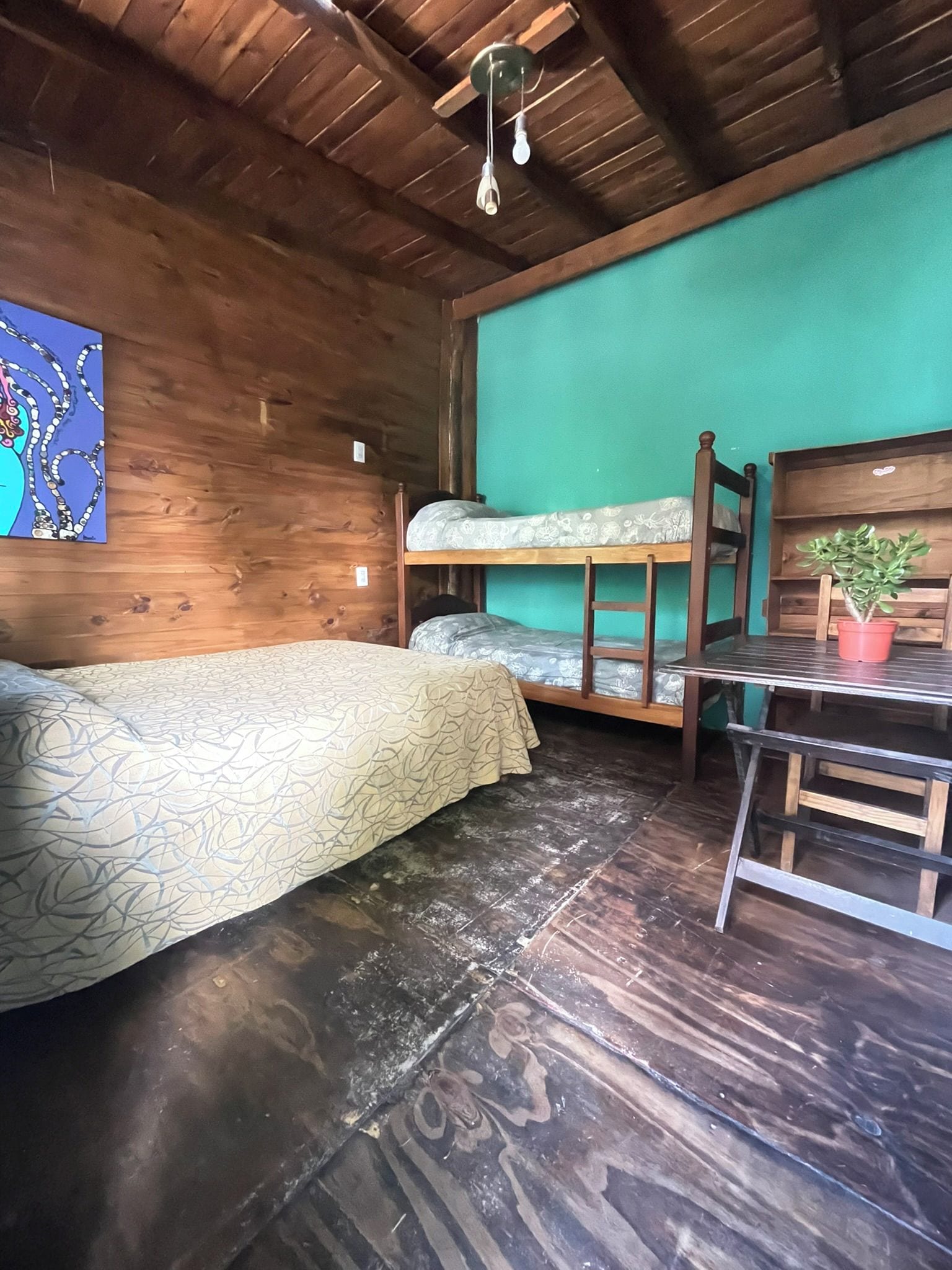 Una habitación rústica con paredes de madera, una litera, un escritorio con silla y una planta en maceta.