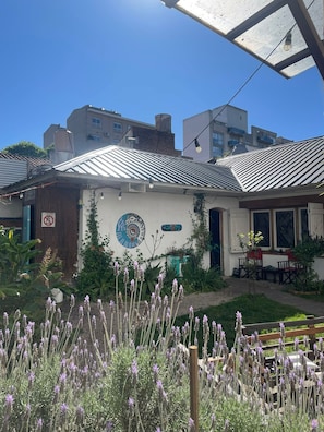 A house with a white exterior, a blue circular artwork on the wall, and a garden with lavender plants. - Zeppelin Art Hostel (Mar del Plata)