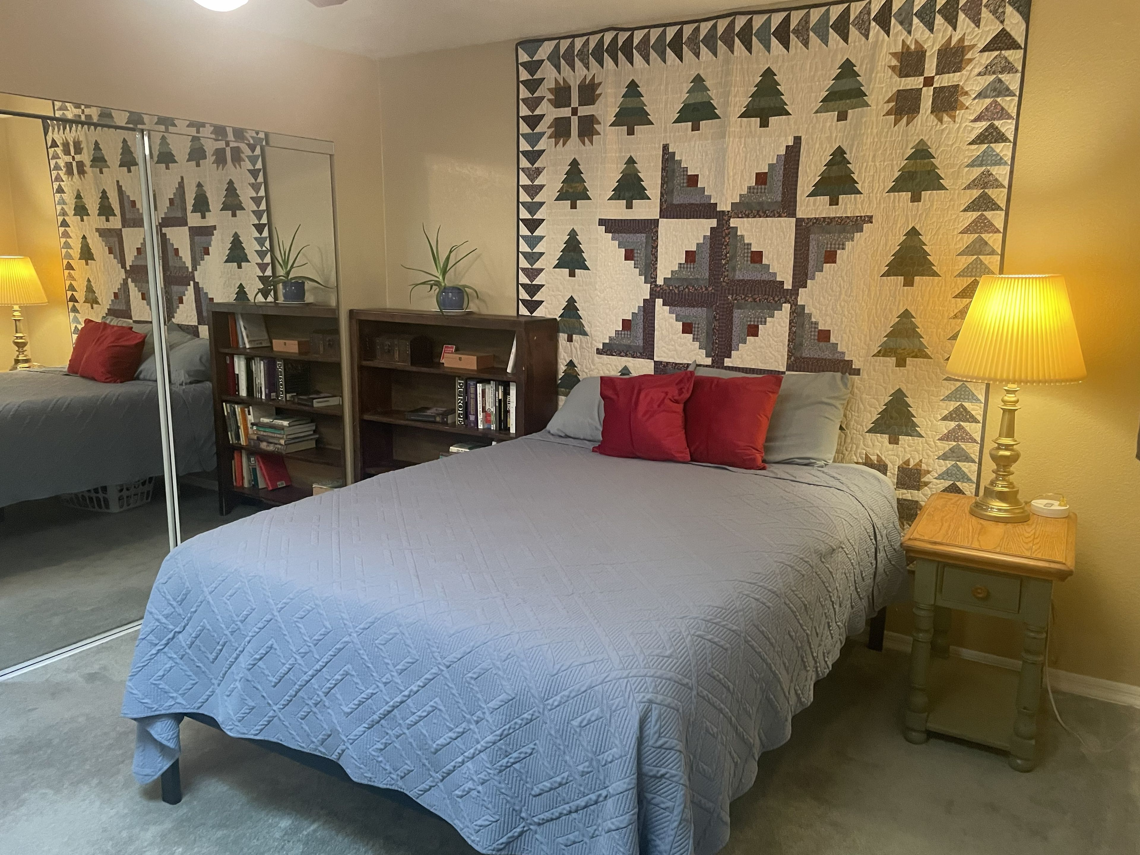 A bedroom with a bed, a nightstand, a lamp, a bookshelf, and a mirror.