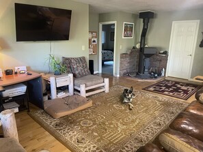 Een woonkamer met een televisie, een open haard, een bank, een salontafel en een hond.