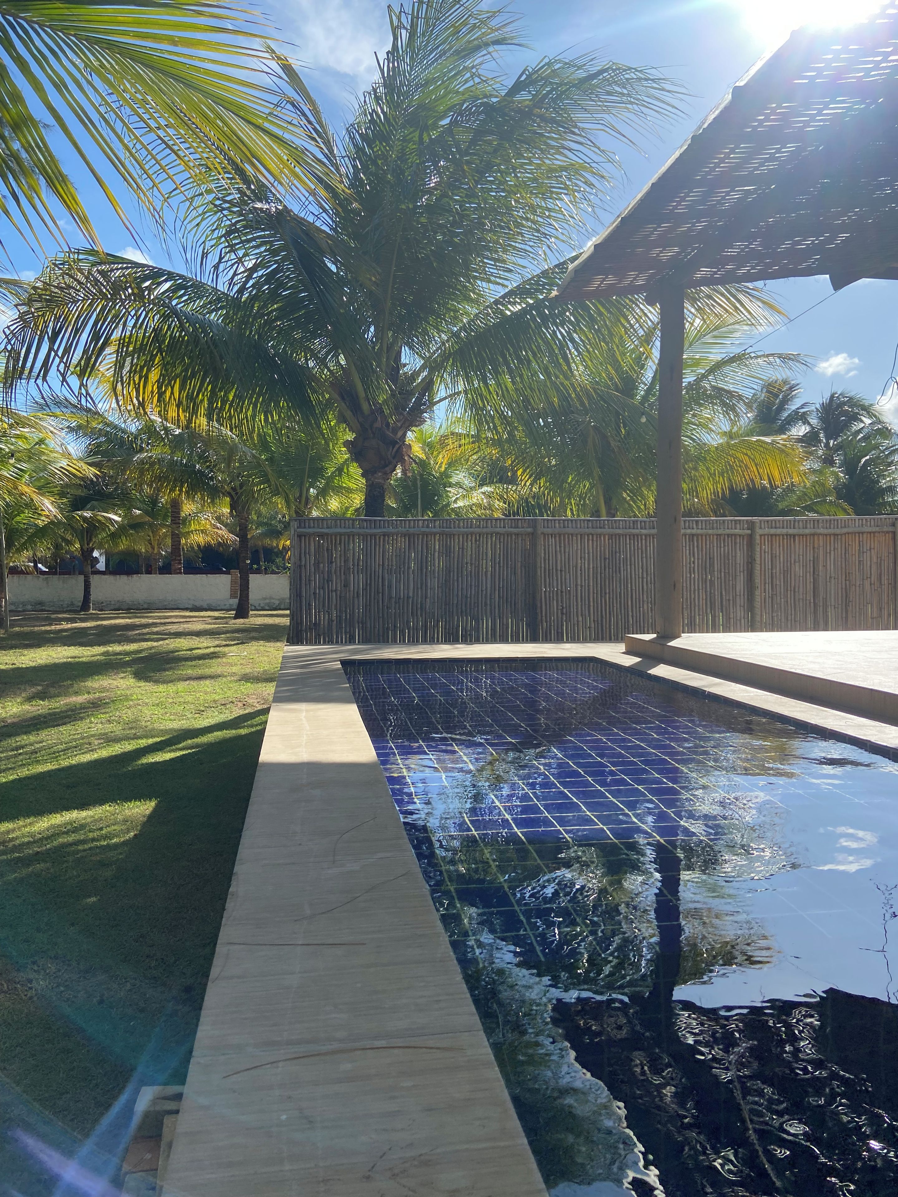 A swimming pool with a tiled deck, surrounded by palm trees and a wooden fence.