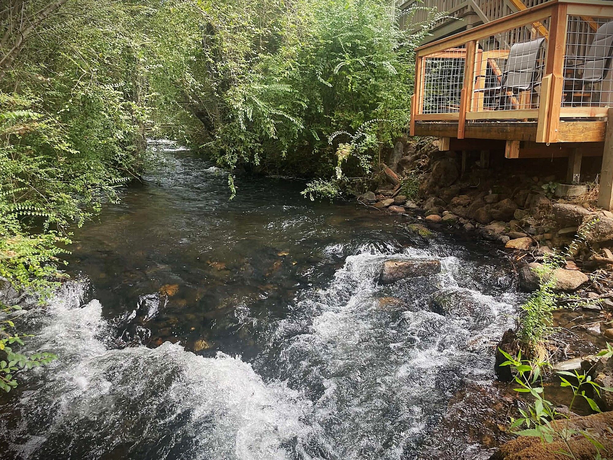 A natural stream with a wooden viewing platform.