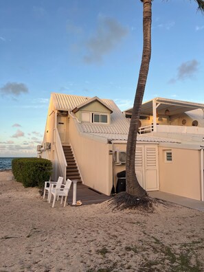Une propriété située en bord de mer, dotée d’un escalier menant à un balcon, d’un palmier et offrant une vue sur la mer.