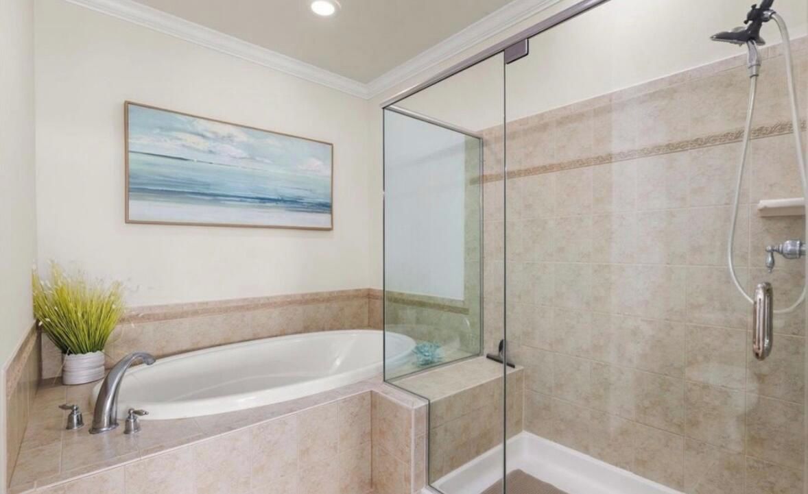 A bathroom with a glass-enclosed shower, a bathtub, and a potted plant.