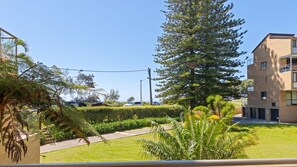 A residential area with a large coniferous tree, a brick building, and a well-maintained lawn. - Unit 53 Beachpark Apartments (Port Macquarie)