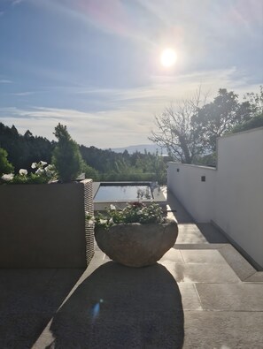 Une terrasse sur le toit, agrémentée d’un jardinier en pierre, d’une piscine et offrant une vue sur le paysage environnant.