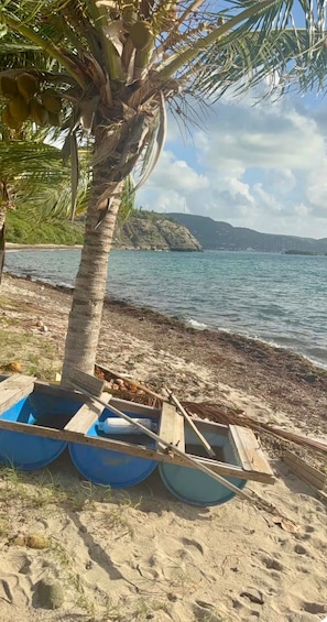 A beach with a palm tree, a wooden structure, and a body of water. - Relaxing Luxury Villa Private Beach Pool AC WiFi (Turtle Bay)