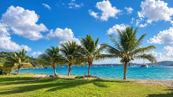 A coastal landscape with palm trees, a clear sky, and boats in the water.