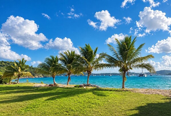 Un paysage côtier avec des palmiers, un ciel dégagé et des bateaux sur l’eau.