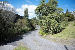 A gravel path flanked by dense shrubbery and trees, leading towards a residential area with houses in the background. - Whangaroa Landing - Lake Rotoma Holiday Home (Rotorua)