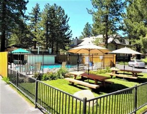 A fenced backyard with a pool, picnic tables, and umbrellas. - Pet Friendly Mammoth Studio w/ self check in (Mammoth Lakes)