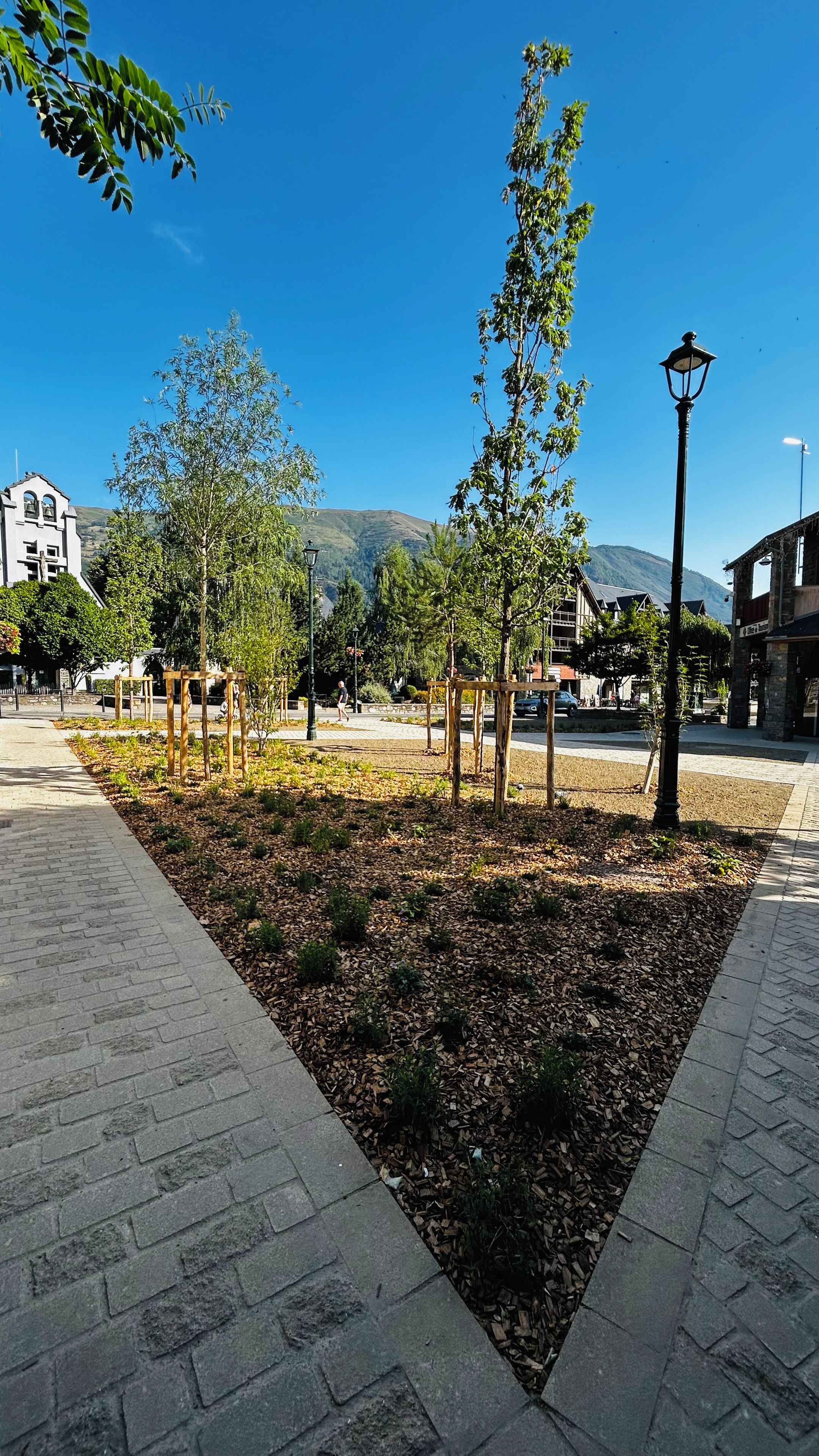Un sendero pavimentado con árboles y una farola.